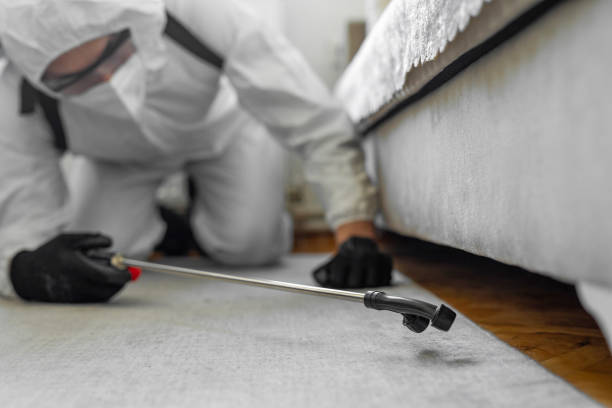 Professional Cockroach Control technician working in Columbus, MN