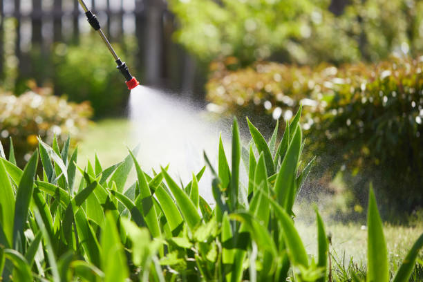 24/7 Emergency Cockroach Control experts in Columbus, MN
